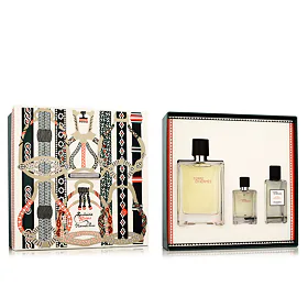 Hermès Terre D'Hermès EDT 100 ml + EDT 12,5 ml + AS 40 ml M