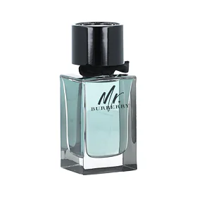 Burberry Mr. Burberry EDT tester 100 ml M