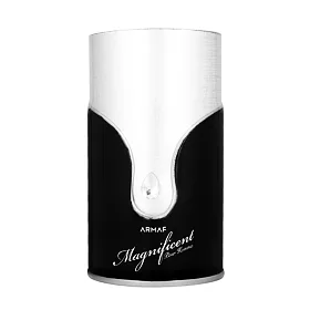 Armaf Magnificent Pour Homme EDP 100 ml M