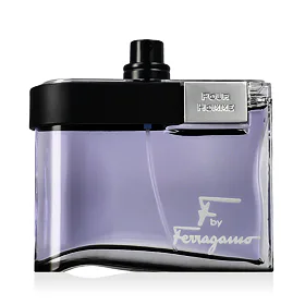 Ferragamo F by Ferragamo Pour Homme EDT tester 100 ml M