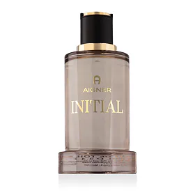 Aigner Initial Eau de Toilette Woda toaletowa dla mężczyzn 100 ml