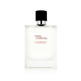 Hermès Terre D'Hermès woda po goleniu 100 ml M