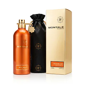 Montale Paris Aoud Melody EDP 100 ml U
